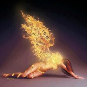 Meet your Posher, Debbie wingard